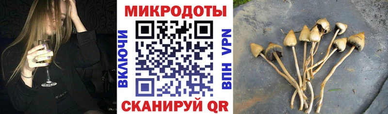 что такое наркотик  Медногорск  Псилоцибиновые грибы ЛСД 
