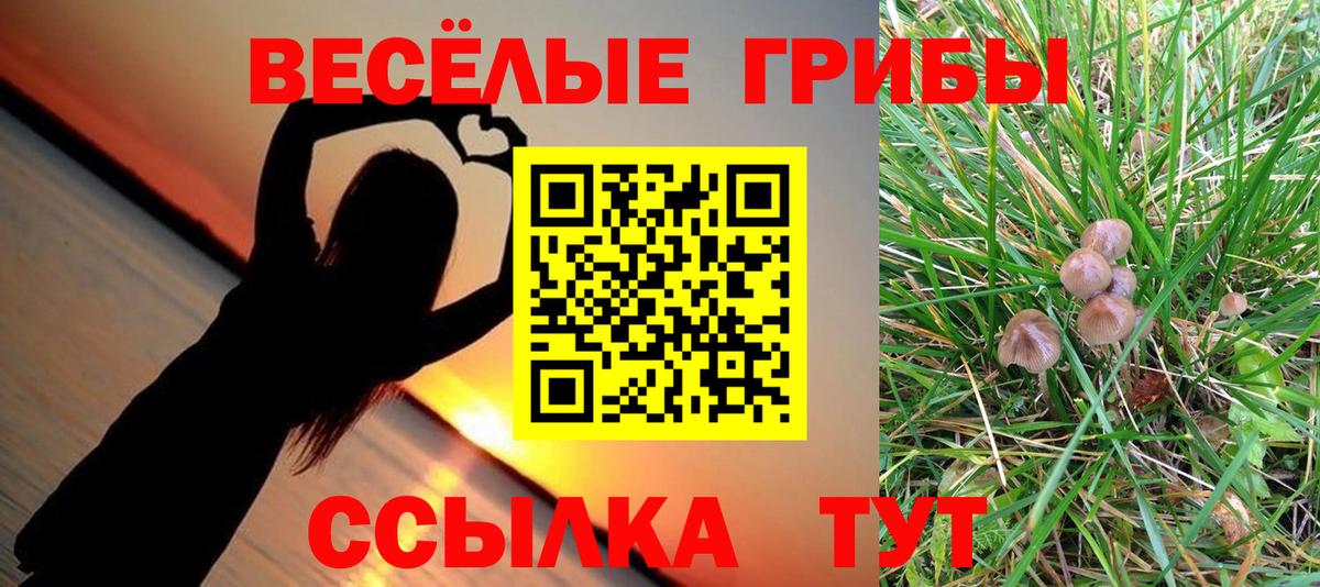 Псилоцибиновые грибы прущие грибы  Вход с VPN  Медногорск 
