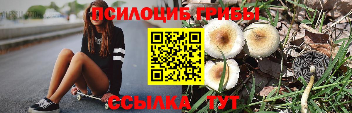 Псилоцибиновые грибы прущие грибы Медногорск